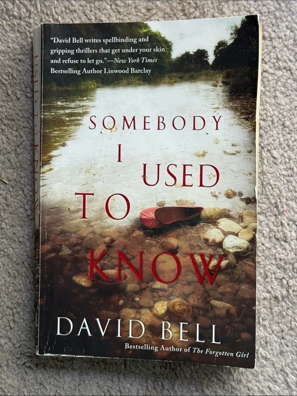 “Someone I Used to Know” a novel by David Bell